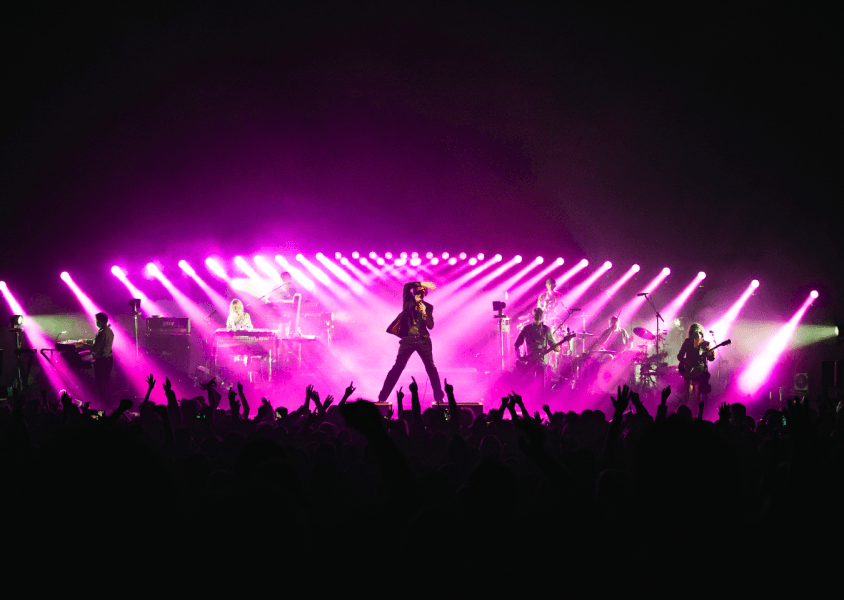 Pulp