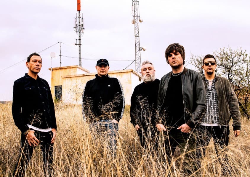 Shed Seven